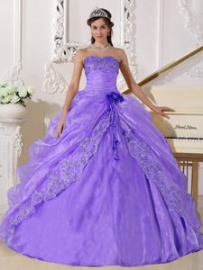 Beaded Long Fall Dress for Quinceaneras with Embroidery and Flower