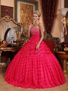 2013 Fabulous Red A-line Strapless Quinceanera Gowns with Rolling Flowers