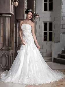 Strapless Princess Women Wedding Dresses with Handle Flowers on Promotion