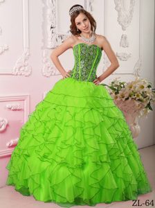 Spring Green Urbane Sweetheart Organza Beading Quinces Dress to Floor Length