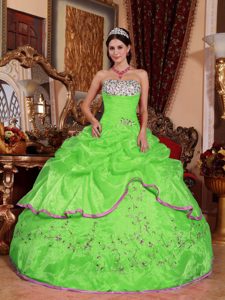 Perfect Spring Green Strapless Dress for Quinceanera with Embroidery for Less