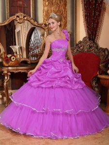 Rose Pink One Shoulder Quinceanera Gown Dress with Pick-ups and Appliques