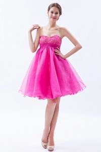 Hot Pink A-line Sweetheart Organza Exquisite Prom Dress for Girls for Fall
