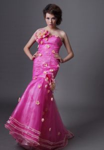 Wonderful Mermaid Tulle Hot Pink Fall Dresses for Prom Queen with Flowers