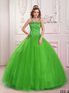 Spring Green New Sweet Sixteen Quinceanera Dress with Beads and Appliques