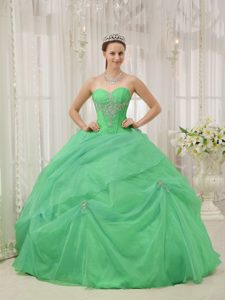 Pretty Appliqued Sweet 16 Dress with Heart Sharped Neckline in Apple Green