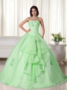 Beauty Organza Embroidery Sweet 16 Dresses with Strapless in Apple Green