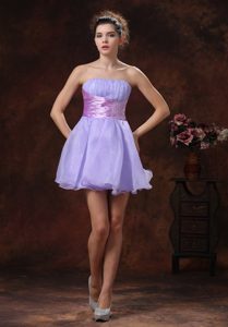 Unique Strapless Lace-up Lilac Organza Prom Formal Dresses in Mini-length