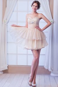 Champagne Sweetheart Prom Dresses for Slim Girls and Organza