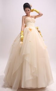 Champagne Organza Senior Prom Dress with Handle Flowers and Beading