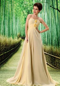 Light Yellow Stylish Formal Prom Dresses with Handle Flower and Ruche