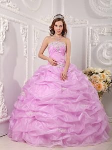 2014 Rose Pink Beading Appliques Pick Ups Organza Dresses for A Quince