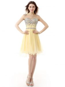 Simple Light Yellow Sleeveless Organza Zipper Prom Gown for Prom and Party