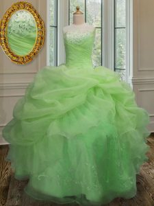 Lace Up 15th Birthday Dress Embroidery and Pick Ups Sleeveless Floor Length
