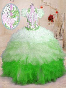Multi-color Sleeveless Organza Brush Train Lace Up Sweet 16 Dresses for Military Ball and Sweet 16 and Quinceanera
