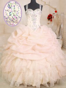 On Sale Sleeveless Organza Floor Length Zipper Sweet 16 Quinceanera Dress in Pink with Beading and Ruffles and Pick Ups