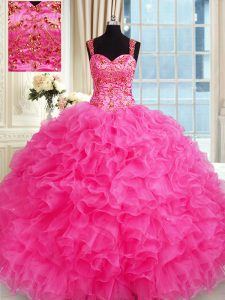 Organza Sleeveless Floor Length Sweet 16 Quinceanera Dress and Embroidery and Ruffles