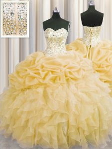 Sweet Visible Boning Organza Sleeveless Floor Length Quince Ball Gowns and Beading and Ruffles