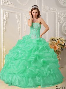 Appliqued and Ruffled Quinceanera Dress with Handle Flowers in Apple Green