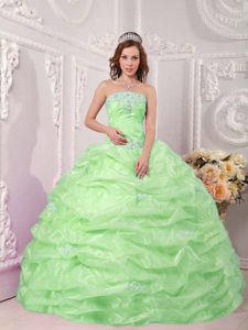 Exclusive Apple Green Quinces Dress with Appliques and Pick-ups in Organza