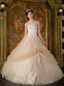 Strapless Appliqued Quinceanera Gowns with Handmade Flower in Champagne