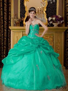 Turquoise Ball Gown Sweetheart Quinceanera Gown in Organza with Appliques
