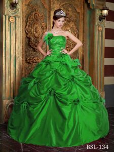 Ruched and Beaded Quinceanera Dresses with Handle Flowers in Spring Green