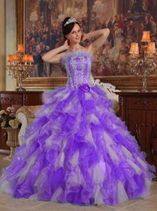 Pretty Purple Ball Gown Strapless Sweet 16 Quinceanera Dresses in Organza