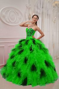 Ball Gown Sweetheart Ruched Organza Sweet 15 Dresses in Green and Black