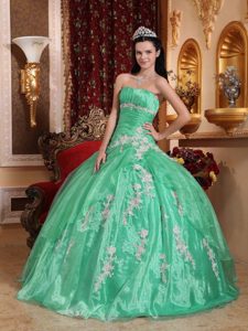 Discount Ball Gown Strapless Organza Quinceanera Gowns with Appliques