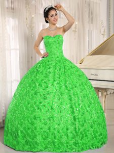 Spring Green Sweetheart Special Fabric Quinceanera Gown Dress on Promotion