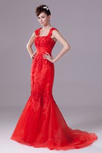Brush Train Beaded Square Trumpet Red Celebrity Party Dresses with Appliques