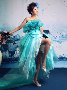 Turquoise Organza Strapless Classy Evening Dresses with Handle Flower