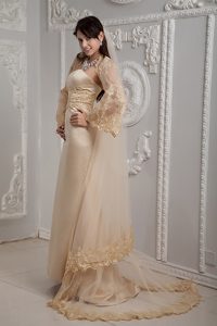 Romantic Champagne Strapless Prom Dress with Brush Train Satin Lace