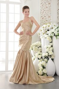 Champagne Mermaid Straps Brush Train Affordable Evening Dresses in