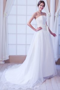 Elegant Princess Strapless Court Train Bridal Dress in Organza with Sashes