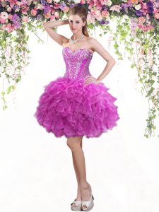 Sweetheart Sleeveless Lace Up Prom Party Dress Fuchsia Tulle
