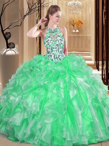 Scoop Sleeveless Organza Floor Length Lace Up 15 Quinceanera Dress in with Embroidery and Ruffles