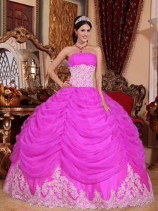 Hot Pink Ball Gown Strapless Quinceanera Dress with Ruching in Organza