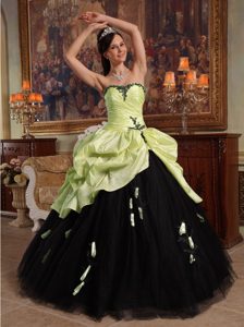 New Ball Gown Quinceanera Dress with Hand Flowers and