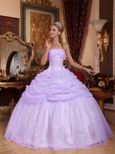 Lilac Ball Gown Strapless Organza Appliqued Quinceanera Dress on Sale