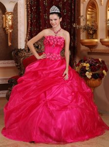 Special Strapless Organza Quinceanera Dress with Appliques in Hot Pink