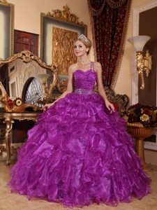 Purple Ball Gown One Shoulder Organza Quinceanera Dress with Ruffles
