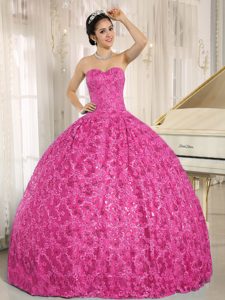 Embroidery and Sequins Sweetheart Hot Pink Quinceanera Dress