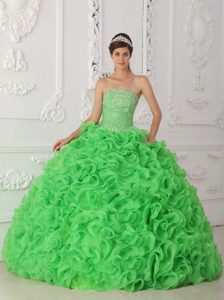 Spring Green Strapless Organza Quinceanera Dress with Ruffles and Appliques