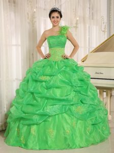 Green One Shoulder Quinceanera Dress with Embroidery and Pick-ups Decorated