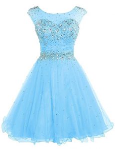 Beautiful Baby Blue Sleeveless Tulle Zipper Celebrity Dresses for Prom and Party