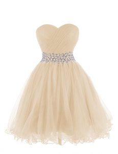 Champagne Sleeveless Organza Lace Up Homecoming Dress for Prom and Party