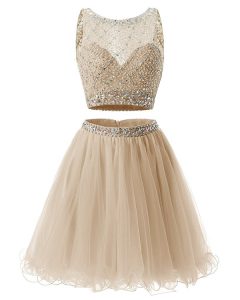 Glorious Champagne A-line Beading and Belt Formal Evening Gowns Side Zipper Organza Sleeveless Mini Length
