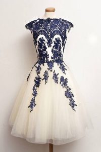 New Style Tulle Scalloped Cap Sleeves Zipper Appliques in Blue And White